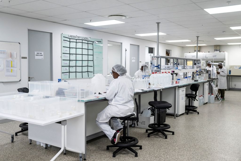 Each product is individually checked and packaged in the laboratory.