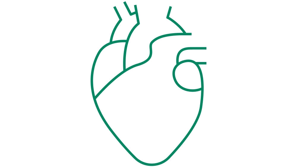 Icon illustrating an anatomical human heart, represented with clean, simple line art to symbolize cardiovascular function or heartrelated medical care. 