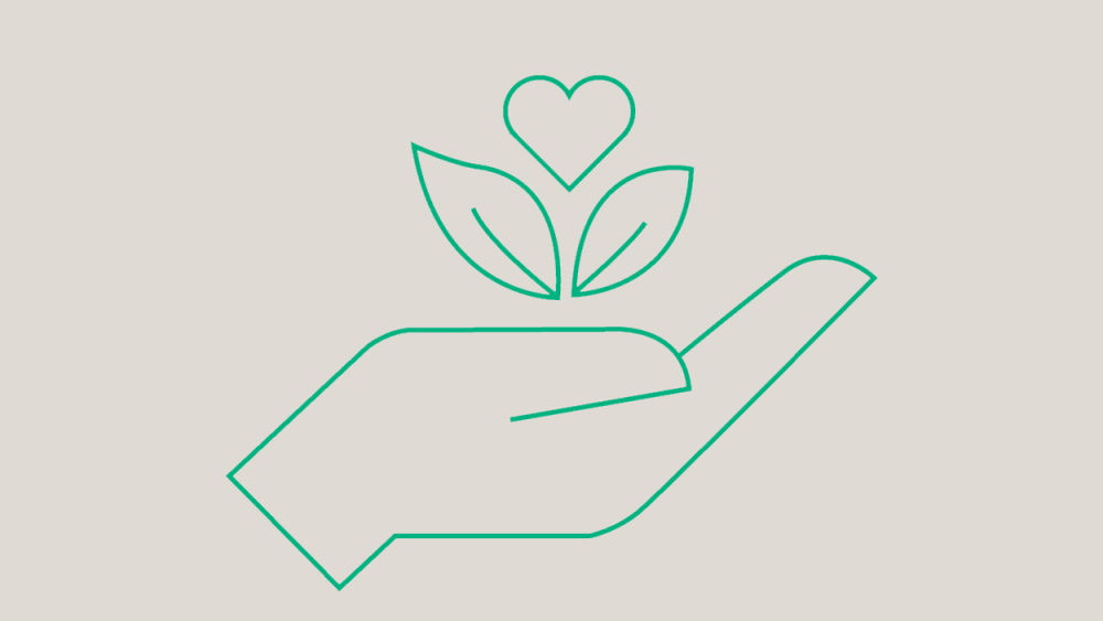 Hand holding a plant with a heart above it, symbolizing eco-friendliness