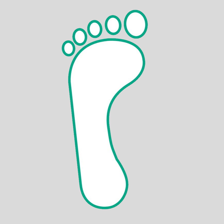 foot illustration