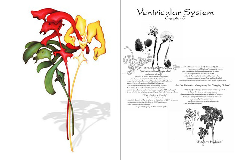 Miro Orszagh Book Chapter J Ventricular System