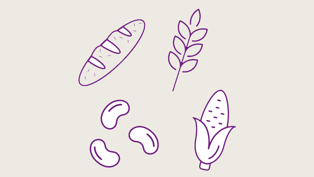whole wheat bread, whole wheat cereals and pulses purple illustration
