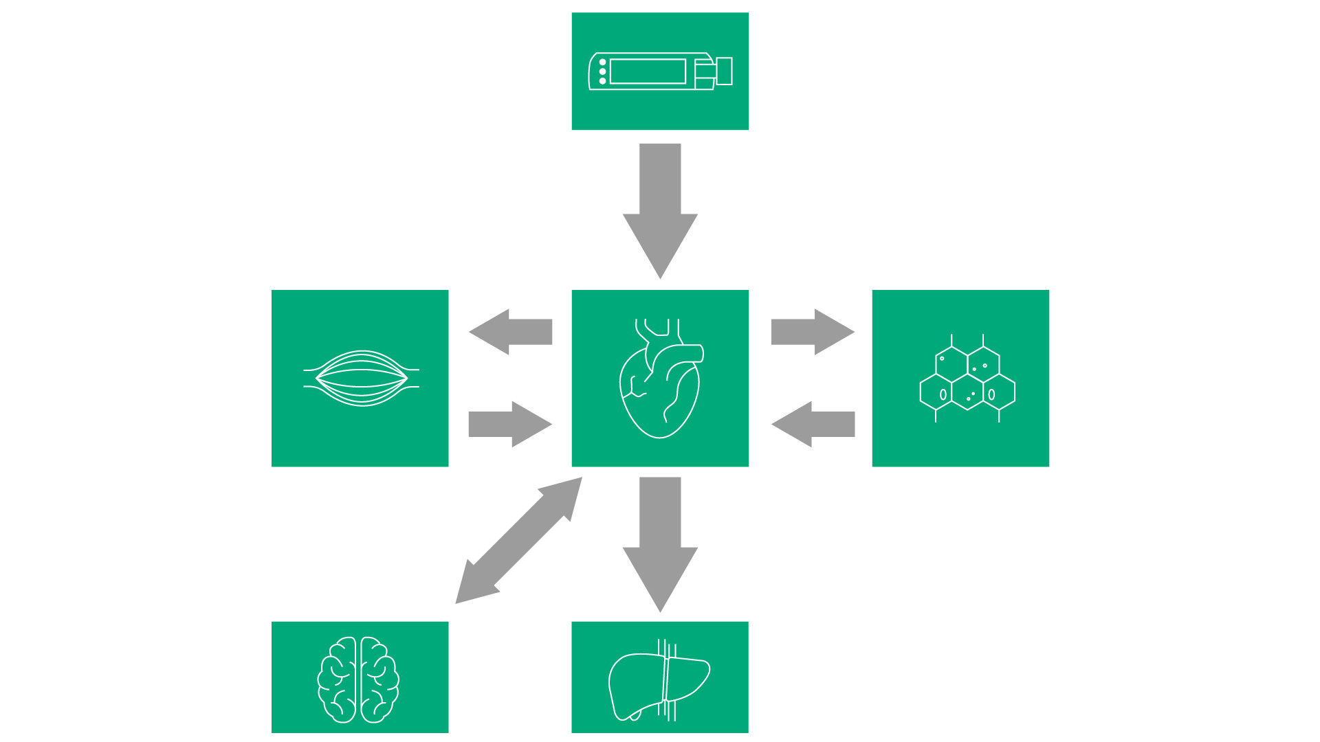 Green figures are depicted, each representing a different organ. One figure has a heart, another has a brain, a third has a liver, and the last one has kidneys.