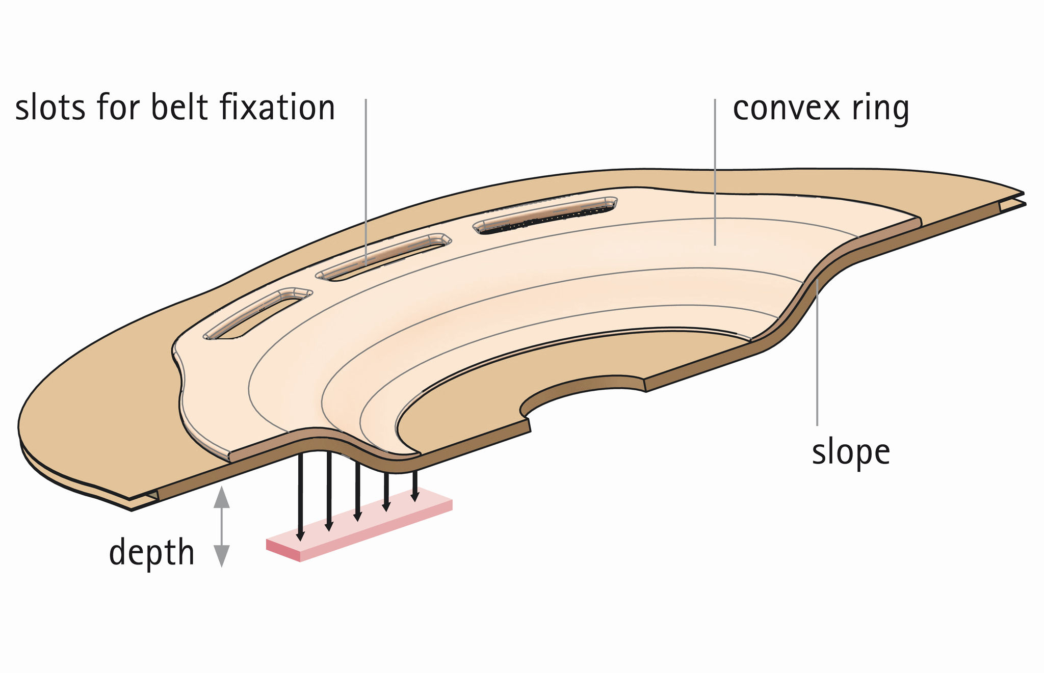 Illustration of the convex cross-section of a wafer with description