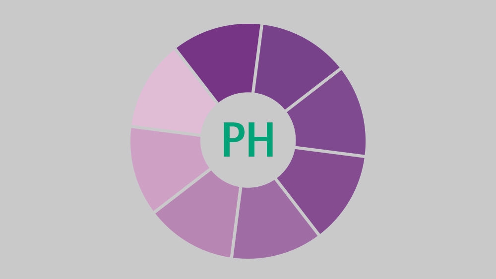 purple pie chart