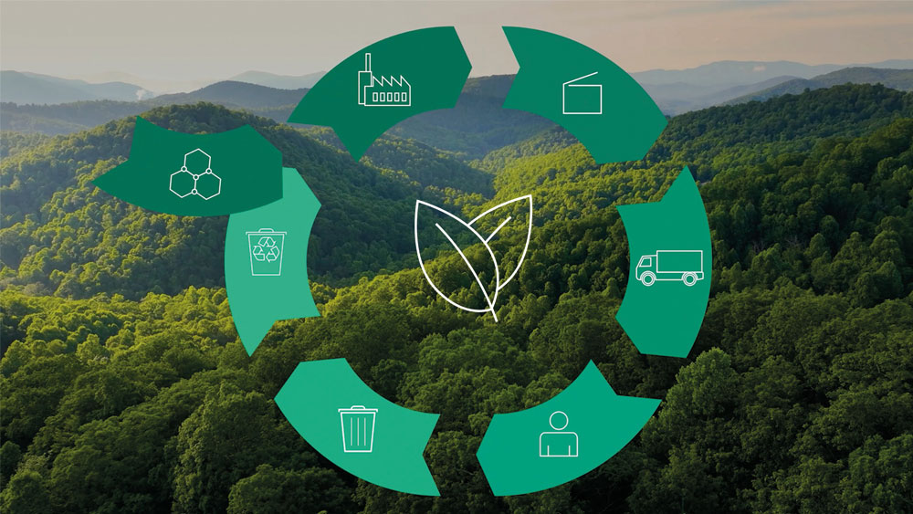 Icons in front of a natural forest background image illustrating the circular economy with raw materials, manufacturing, ​logistics processes, usage, end of life and recycling.