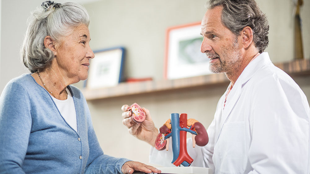 A doctor is having a conversation with an older lady who is listening attentively and appears interested. He is showing her a kidney model.
