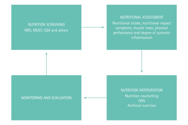 Nutrition care process