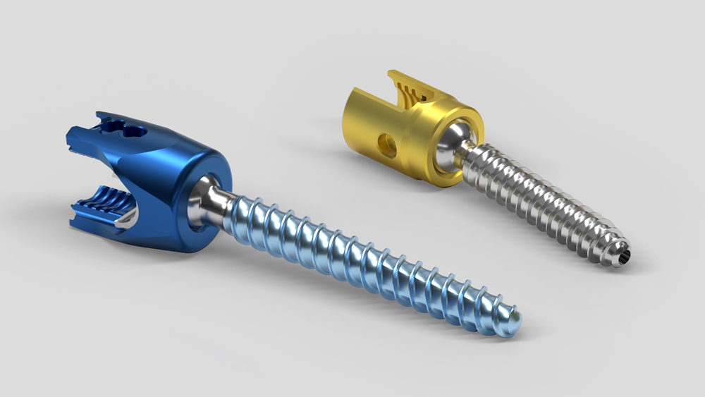 Two Ennovate® screws for spinal surgeries