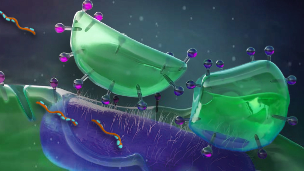 Colorful scientific illustration showing biofilm cells​